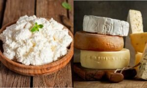 Nützliche als Käse, ob es für die Gewichtsabnahme sein kann und Nacht